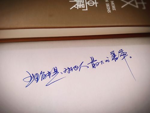 手写体 手写字体 #手写情书#文字,句子,告白,爱情,励志,唯美,情话