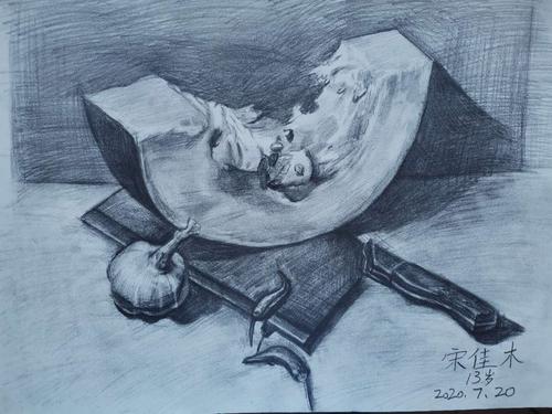 宋佳木 素描静物