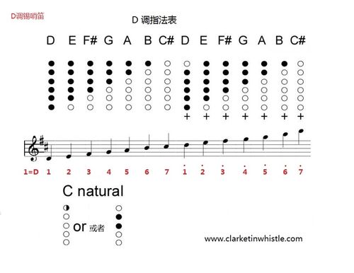 爱尔兰 哨笛的指法