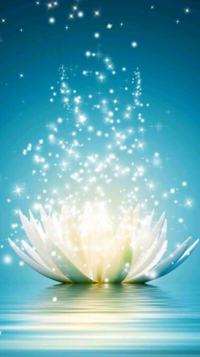 荷花 莲花 佛禅 观世音菩萨