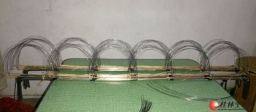 野鸡媒笼·母野鸡媒笼··拌脚套竹鸡套 - 宠物用品