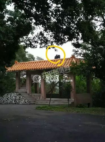 伤风败德!开平这对情侣,竟在梁金山做出这种行为!