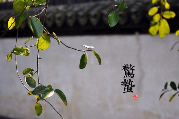2022年惊蛰二十四节气查询