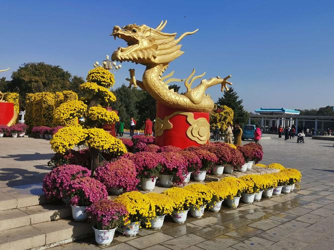 龙凤呈祥的大型立体花塑,不仅代表了盛世年华,也象征着我们伟大祖国如