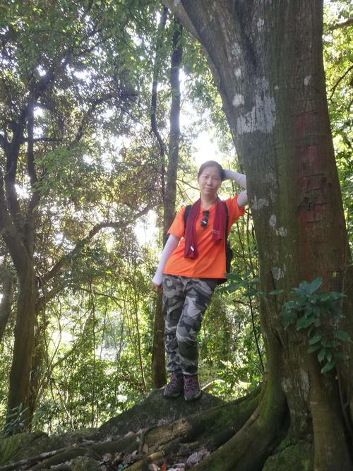 8.15日爬罗浮山狮子峰玩水