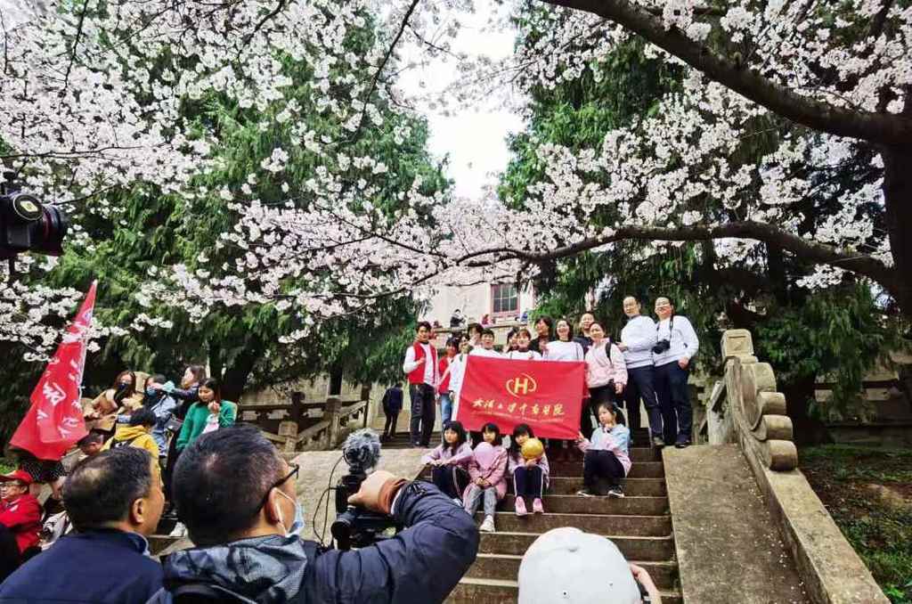 樱花见证山河无恙3000援鄂医护现身武大赏樱专场