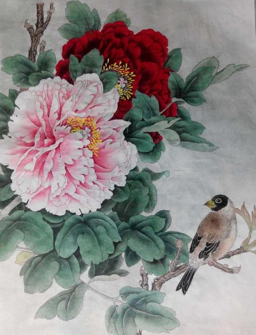 初次画工笔花鸟里的鸟:蜡嘴牡丹