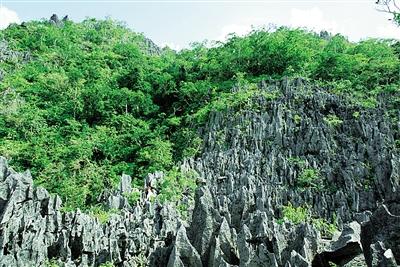 海南俄贤岭蝙蝠洞:喀斯特地下秘境[图]