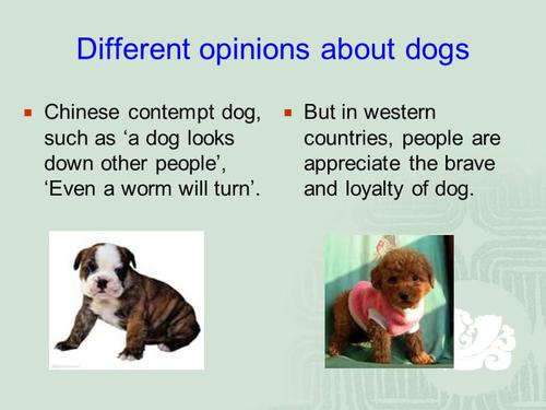 中西方动物文化差异.ppt