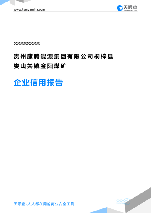 贵州康腾能源集团有限公司桐梓县娄山关镇金阳煤矿(企业信用报告)