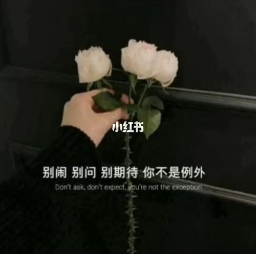 别闹 别问 别期待 你不是例外_伤感文案_素材_文字素材