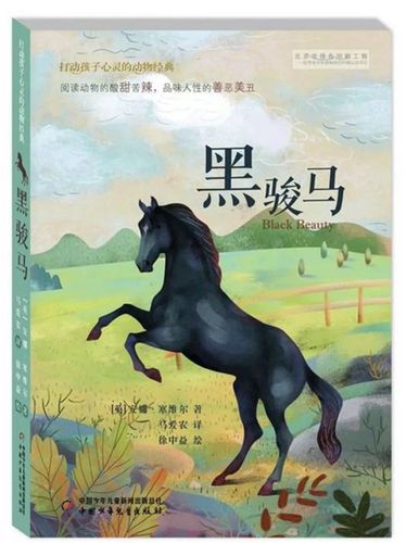 推荐解读 ▎