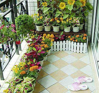 你想布置一个别致的阳台小花园吗?