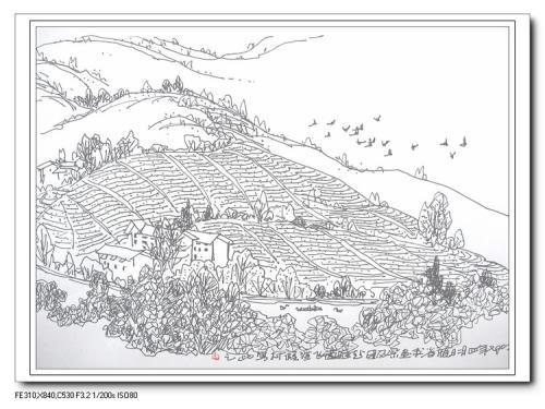 茶园简笔画教程