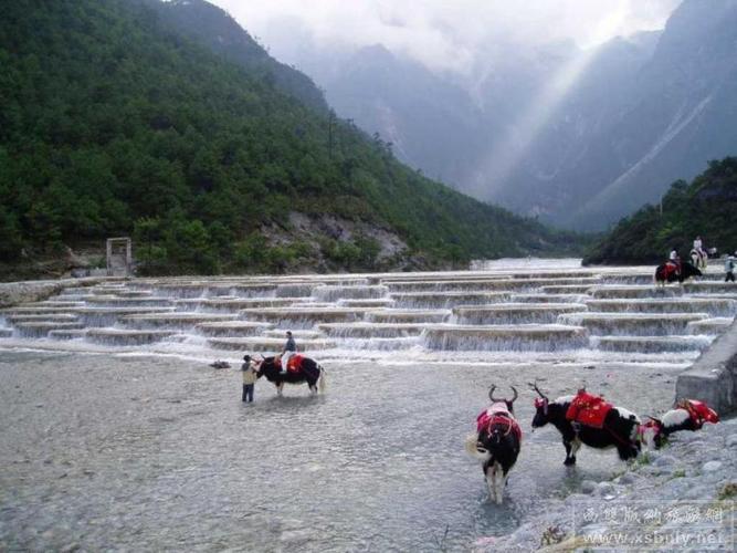 白水河是一条由 a target="_blank" href="/item/玉龙雪山/454679"