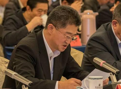 青岛森麒麟轮胎股份有限公司董事长秦龙