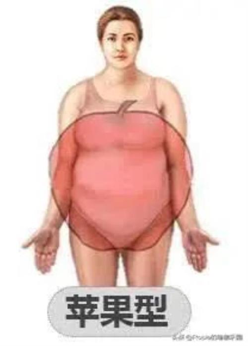 苹果型身材如何减肥腰粗肚大的苹果型身材如何瘦