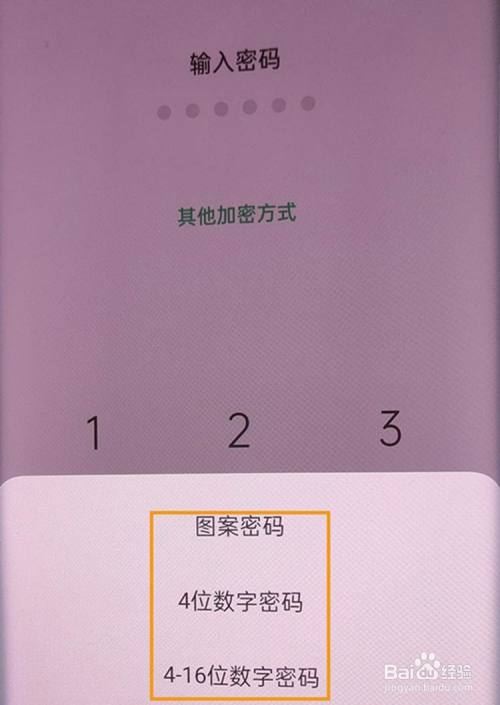 可以选择图案密码/4位数字密码/4-16位数字密码/4-16位字母数字密码