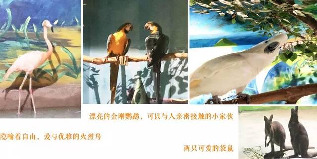哈尔滨万象萌宠公园游玩攻略