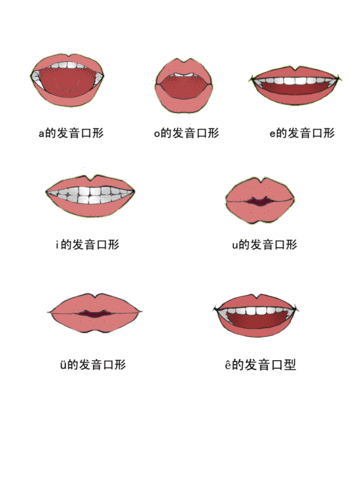 汉语拼音口型大全.doc 4页