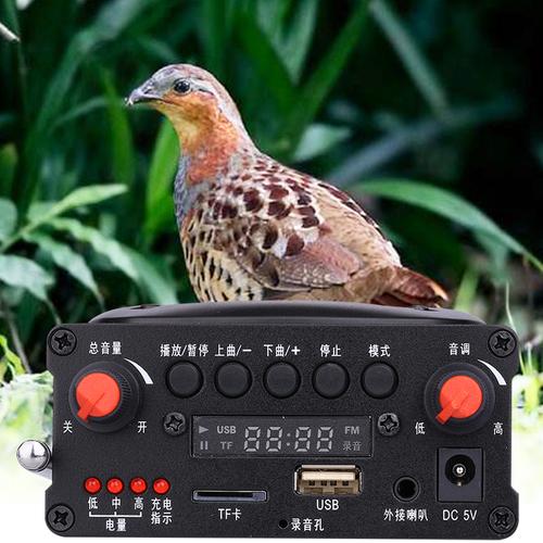 电媒机远程遥控器诱鸡鸟神器抓捉控鸟鸡专业地套装带声音卡电煤