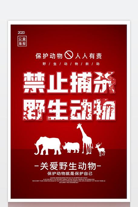 禁止捕杀野生动物海报