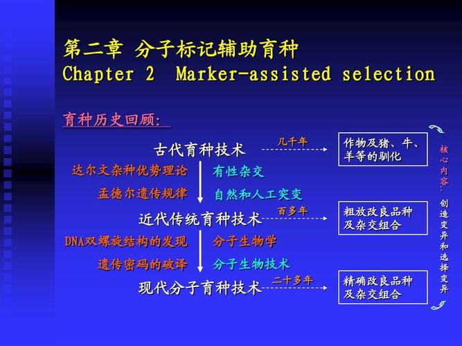 分子标记辅助育种ppt