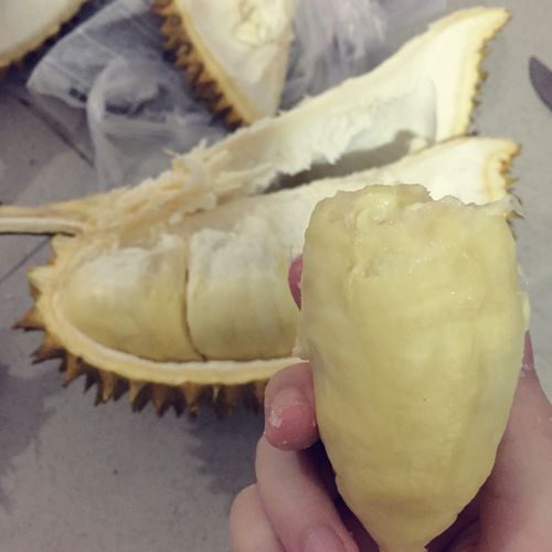 windy杨-做的伱开过的那些榴莲