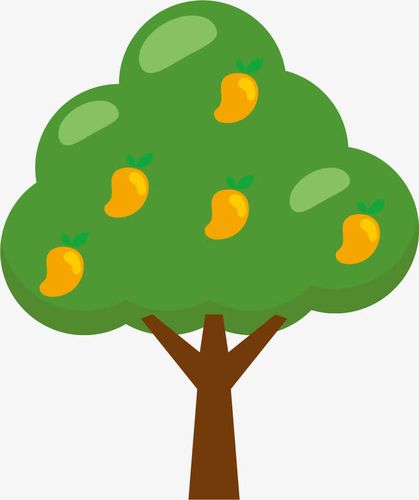 关键词 : 桔树,桔子树,水果树,桔子水果,橘子,黄灿灿