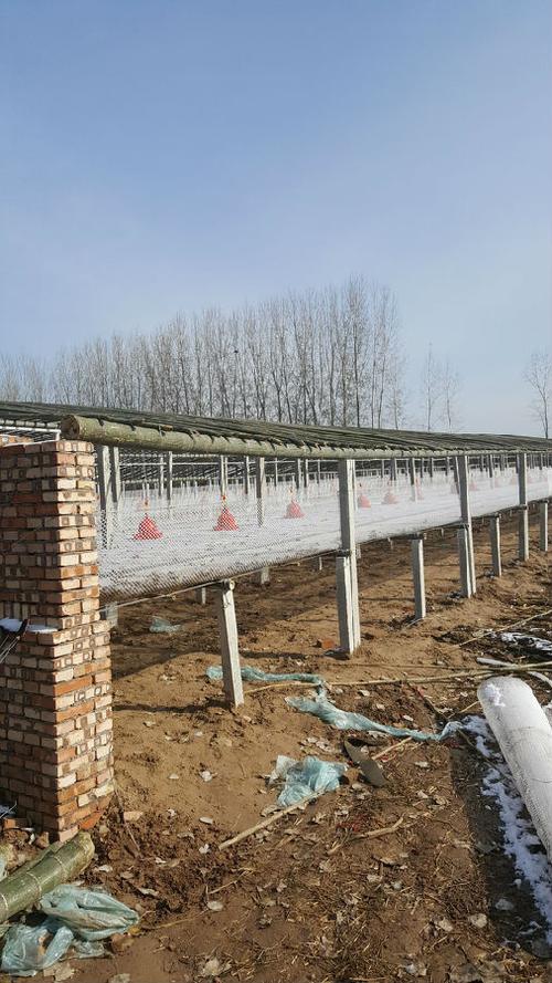 【鸭棚建设】价格