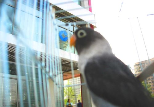 5月6日寝室的新成员