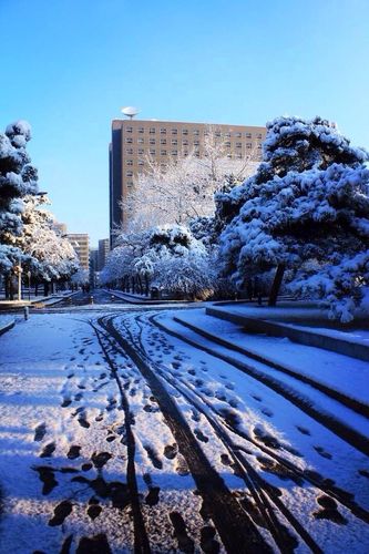 如何评价中央民族大学?
