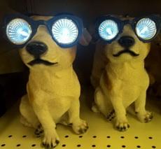 眼睛瞪得像铜铃