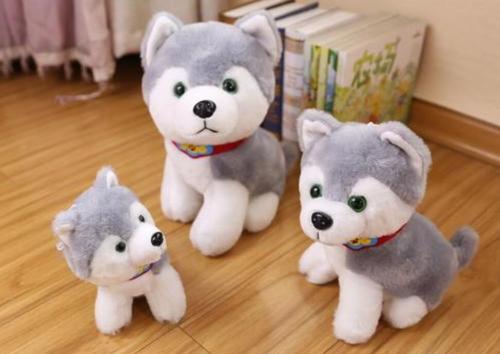 我的心爱之物作文450字