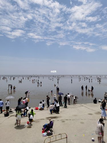 周末带娃游 奉贤抓螃蟹_带娃_螃蟹_赶海_萌娃_宝宝日常