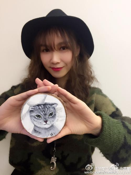 东南卫视模王小咖秀