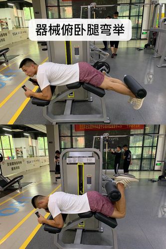 器械俯卧腿弯举