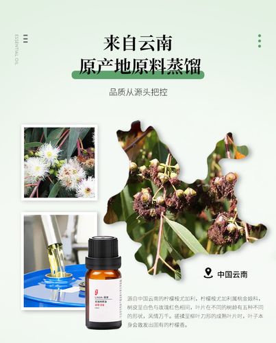 柠檬桉尤加利精油l驱蚊精油熏香芳疗精油驱蚊虫净化空气单方精油