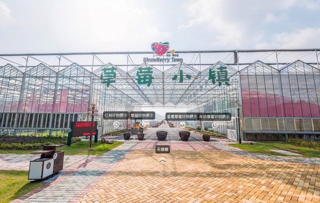vr看基地建德草莓小镇采摘基地