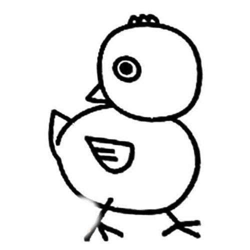 小鸡简笔画图片大全