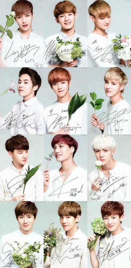exo一系列的图片,我记得有一组是每个成员拿着花,照片