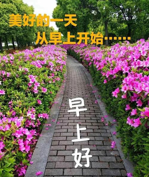 早上好2021年7月20日星期二早上好问候祝福动态表情图片周二最新早安