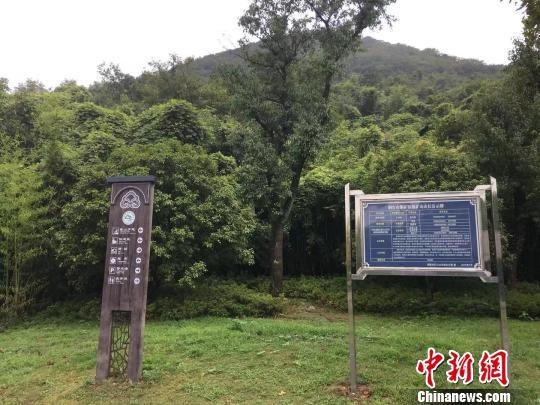 安徽强化绿色矿山创建 循环利用资源增效益