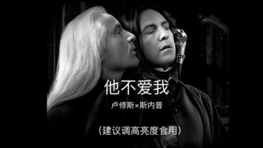 【卢修斯×斯内普】【lmss】他不爱我 【卢修斯×斯内普】【lmss】他
