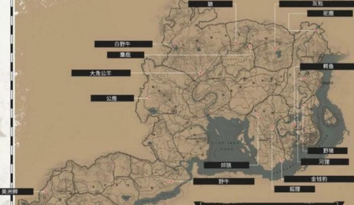 荒野大镖客2传说动物狩猎技巧介绍!