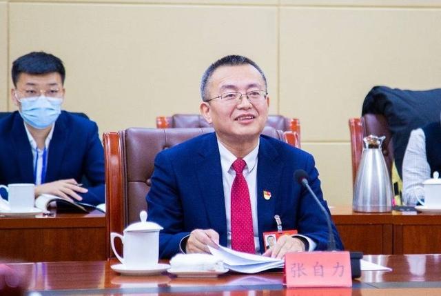 "宁夏人大代表,青铜峡市委书记张自力说,下一步,青铜峡市将认真学习