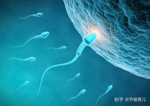 科学研究表明,男性每日如果吸烟超过30支,精子的存活率可能不到49%.