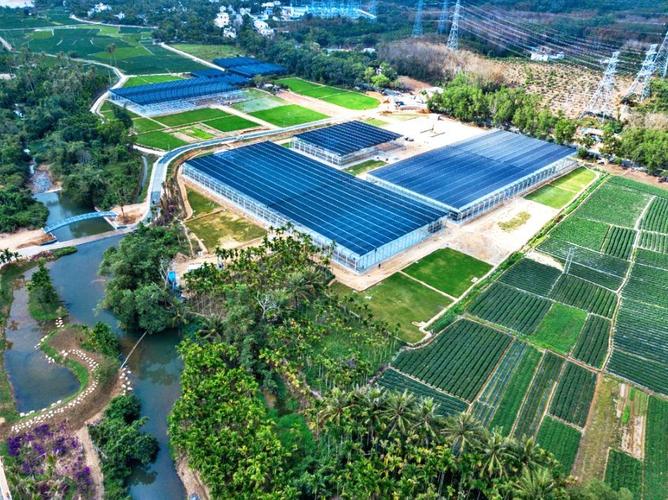 大茅远洋生态村·飞禽之家设计方案征集大赛丨线上平台正式登录!