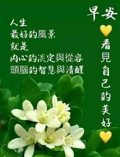 6月11日清晨早安问候祝福唯美图片,早晨好幸福暖心的问候图片