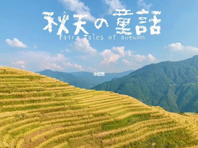 国庆出游|桂林龙胜梯田风景区_梯田_出游_风景_龙脊梯田风景名胜区